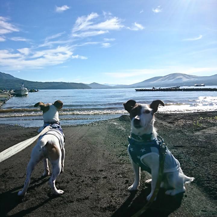 865ddb5c 85fe 45d5 912f e55b483654ac 1535236391537