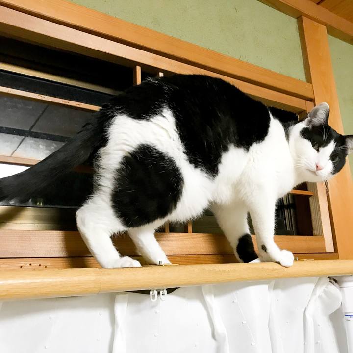 865df940 964e 4dc1 8c71 c9b0ac5fd2b0 1520001881830