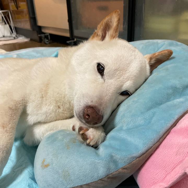 865dfe93 fe3e 433d b5bf acadc8c62ec9 1651069001631