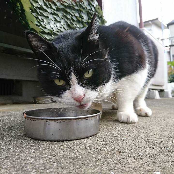 865e554d 27c0 4244 993f 6155f3438e9c 1512346453225