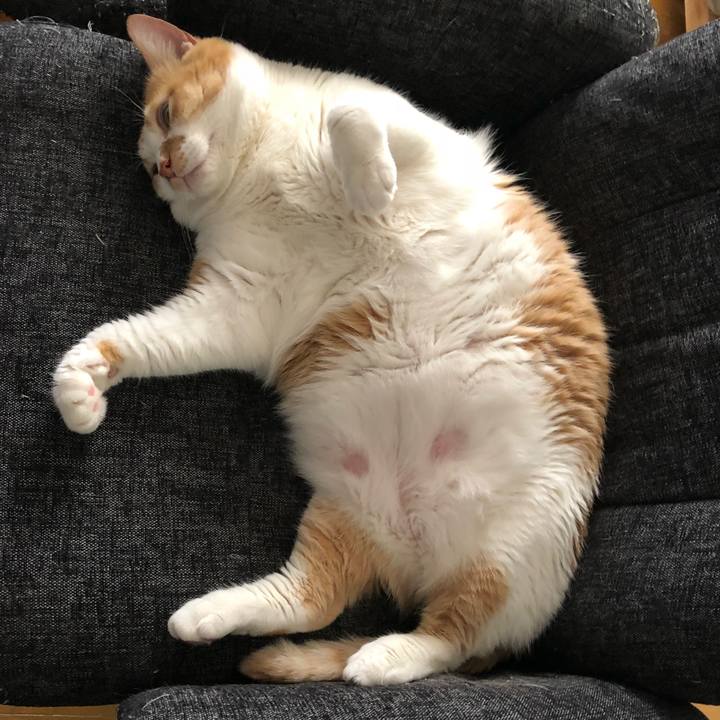 865e5b24 725a 4001 a31e d8b24537c253 1525236889387