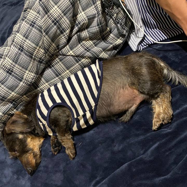 865e744c 7cf9 4414 b2fb 650e41c9c2a3 1577719156857