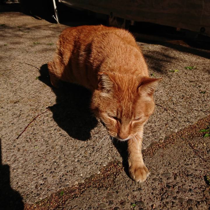 865e8b8b 253b 435a 9988 c0d45917097f 1680999963944