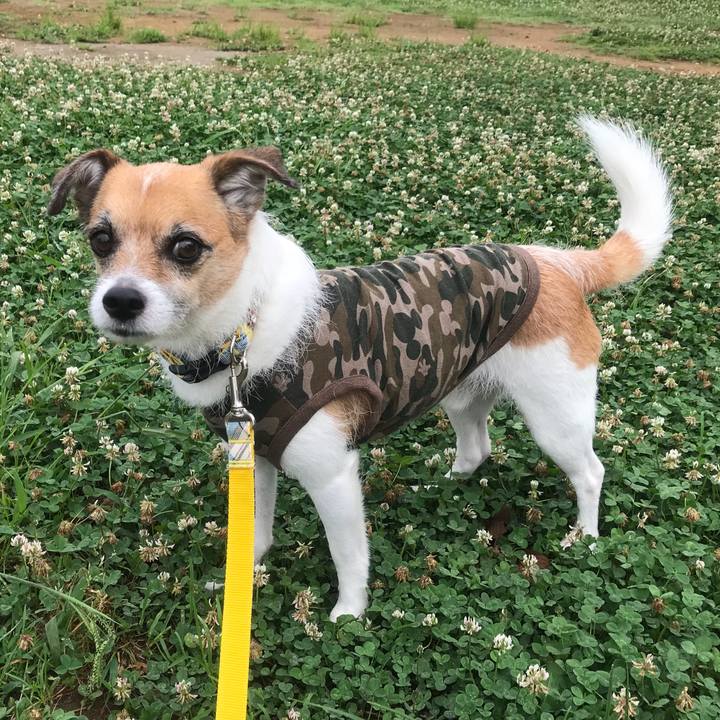 865e9217 6d68 4066 a0b8 fafd2b269bae 1531349563890