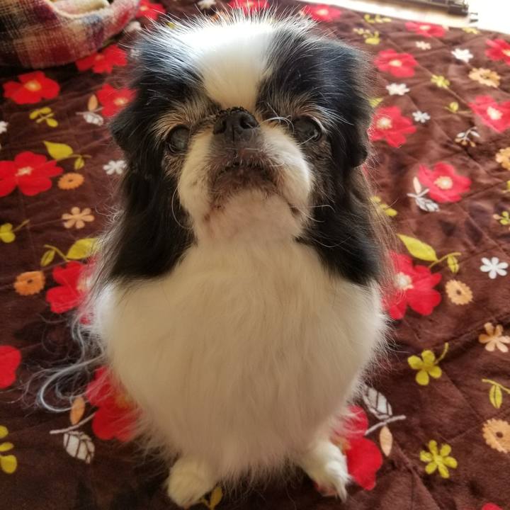 865e9317 fcb6 450b a5e0 742b8b2d8adf 1520072351965