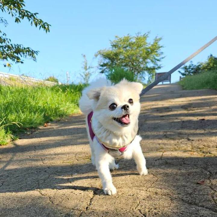 865eaeb1 3ad6 4244 8768 61149003d93f 1723453599844