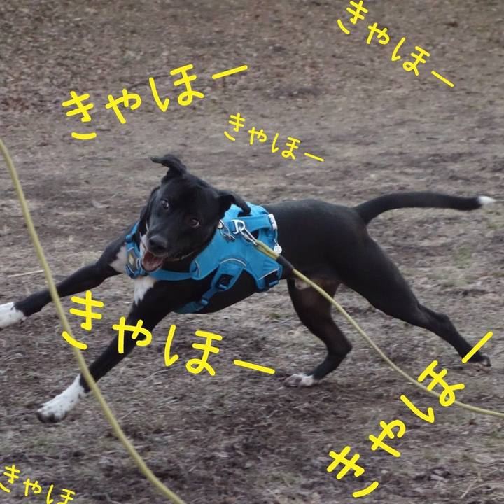 865ee1cd 0f17 4717 b8d6 f34bf9b052ae 1612401225130