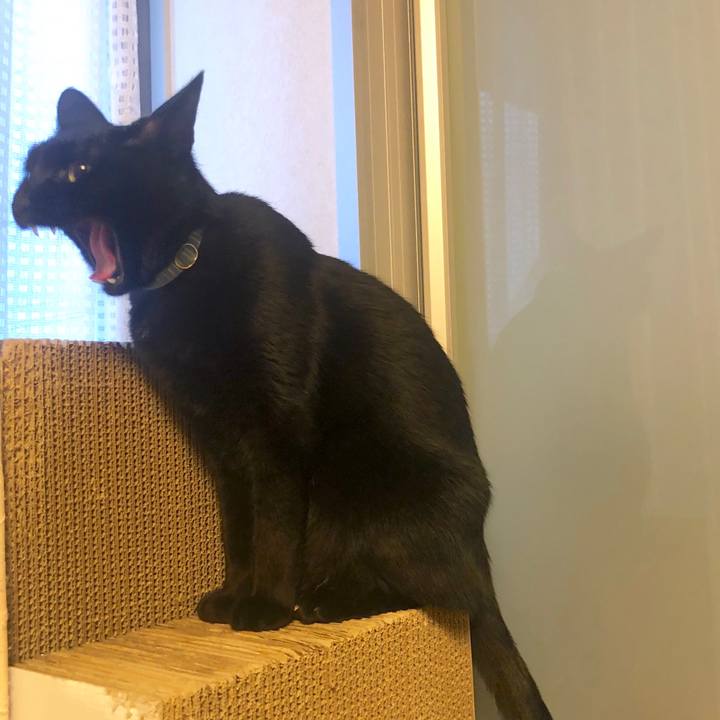 865ee256 b5ce 488a a41d e75e1f9819c1 1583137399620