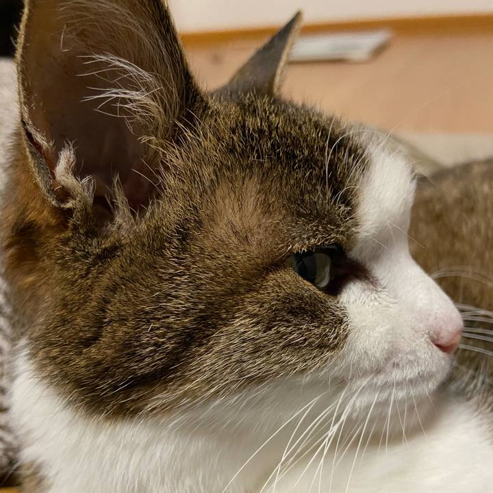 865ee391 8166 471e 9423 f3cc13fb649e 1587733054086