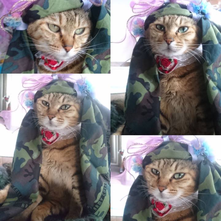 865f01ad 14ee 4233 aecc c159106525ed 1765582354977