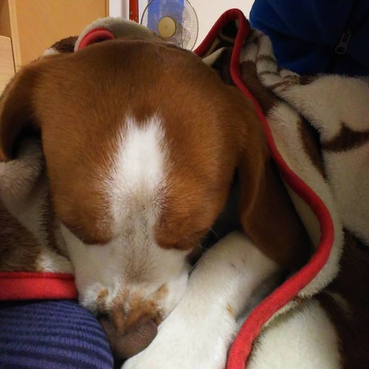 865f16c1 e23e 4eac b4fe 5d60b118a697 1519128590290