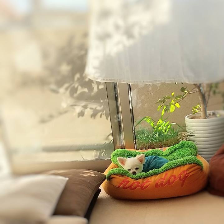 865fa910 4b25 4009 8498 7e8faad98309 1671342289917