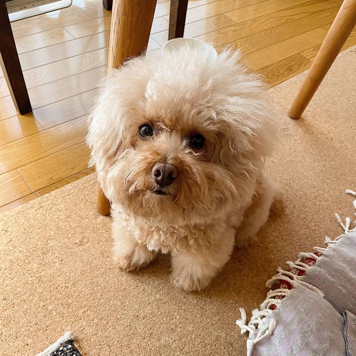 865fb609 14eb 44d7 b124 62025a017a11 1691058413526