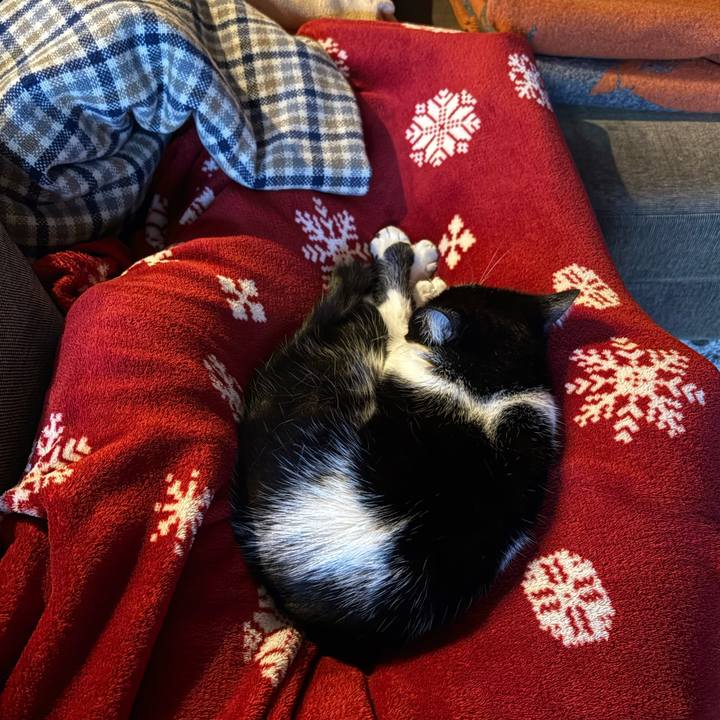 865fc913 8660 47b6 8b39 bbfa2604124e 1769242068222