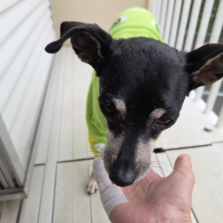 86600224 cbbd 4a88 8636 70aff4113996 1758428163126