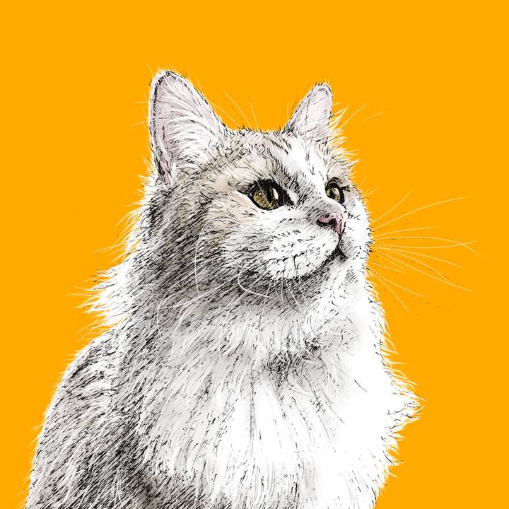 86600808 87a6 4566 8012 fa96d4860460 1599388157110