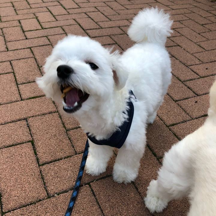 86601d58 7262 4a93 b581 663f9d3c0d6b 1529885165358