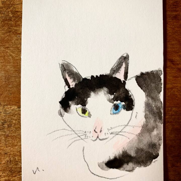 86602154 34e8 4aa1 bd1c 0c989ce58f1d 1608933750076