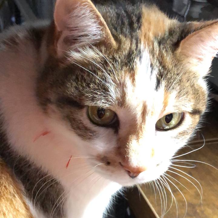 86602f25 b9b9 476e 8fe6 2e1c2d710d1d 1584488249821