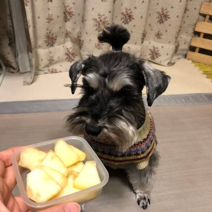 8660377a 0761 45b0 a8b5 a2ef622ca983 1613788463425