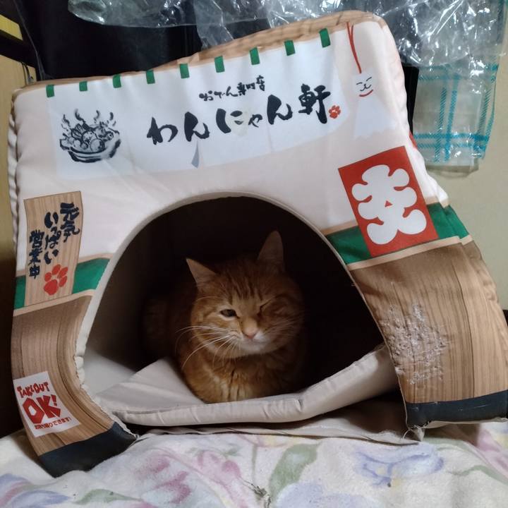 8660558d 2897 40aa 933b c550d170ee68 1675857292694