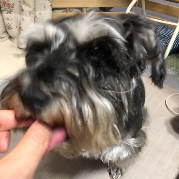 8660866d d5ea 486f b3b0 f205ed96c48c 1621175225826