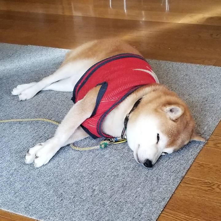 8660a415 14c0 474c 8185 3417807a1777 1606177414088