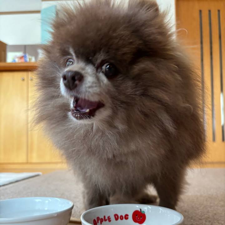 8660a4e3 194c 42a8 8ce3 e708837c8478 1746490251209