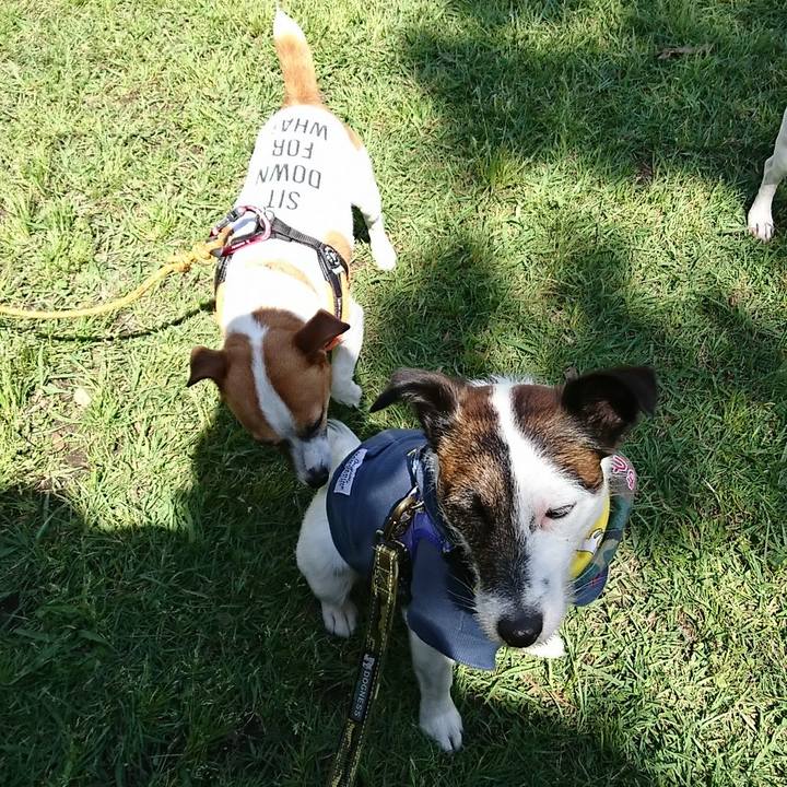 8660cbb8 05fe 44e5 88c5 fdbf5e16a359 1526124905676