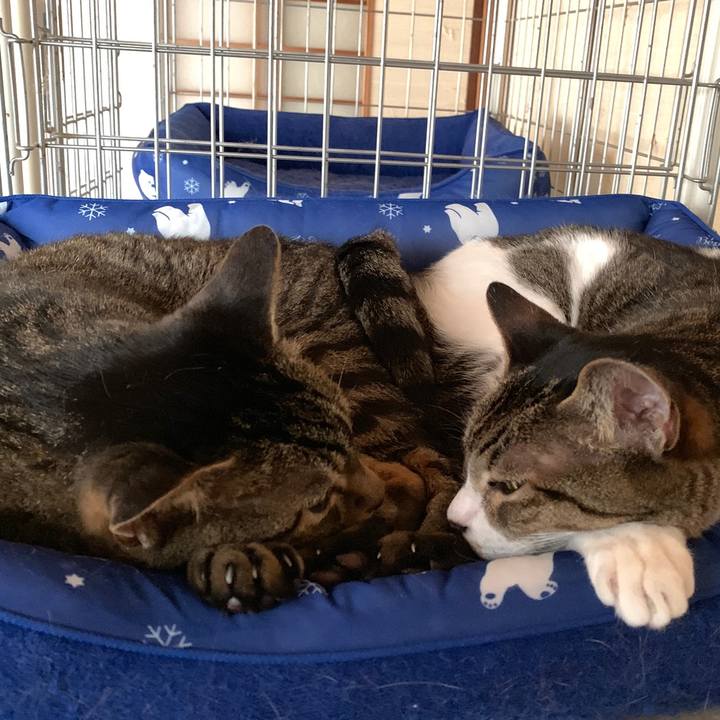 8660cd9d 6692 4244 8003 f82da7550629 1567041356045