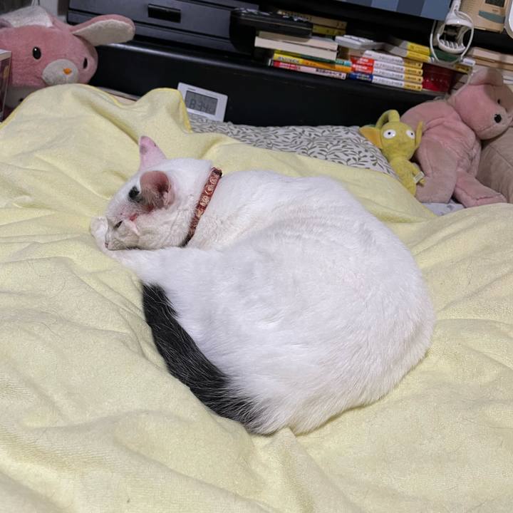 8660ecb6 829d 4606 93e2 e7449a0872e9 1757544770022