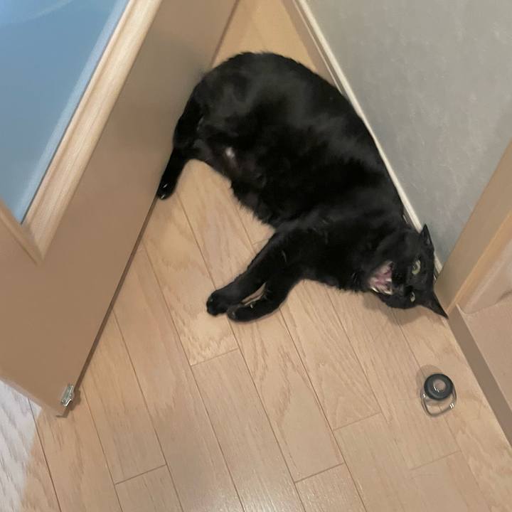 86611033 5df8 4df4 a5ef 7e3849330380 1693578026214