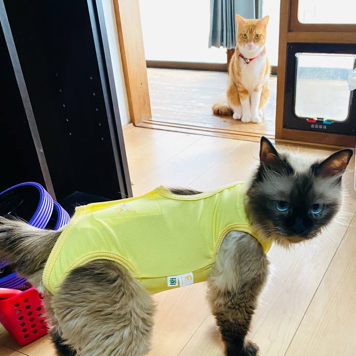 866150ad d96a 4705 b8d7 b039d77229e2 1694180223928