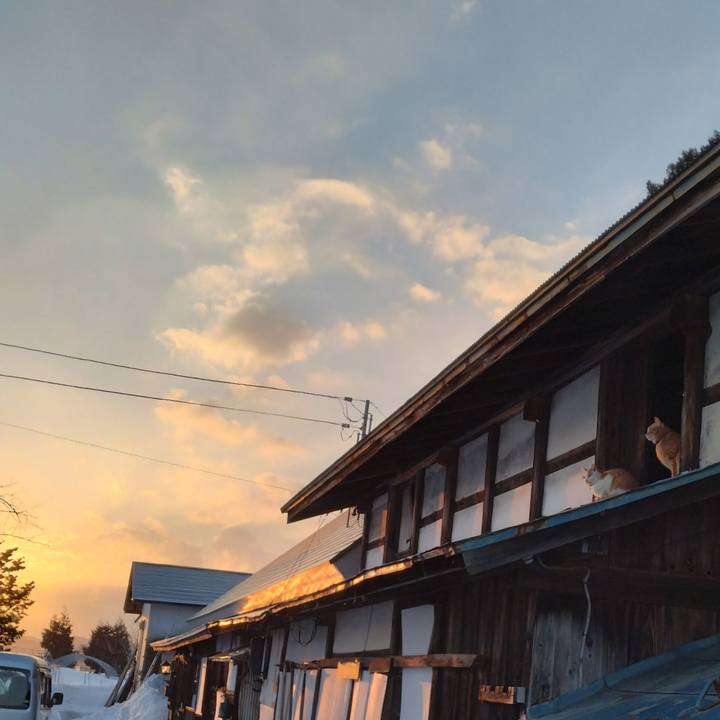 866173c8 c358 4cfe ac67 5deca9379e52 1740645718278