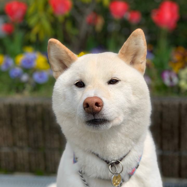 866190eb 8767 4bb9 962d 2b30345ef79a 1617190534322