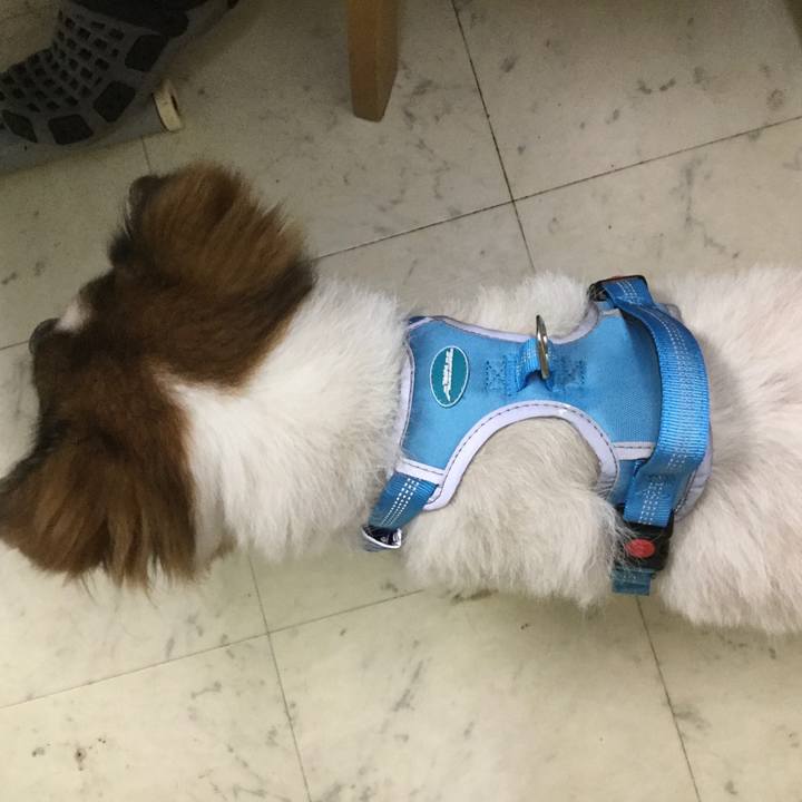 8661a637 d6c3 4134 96d8 aaa6001d485c 1598616601068