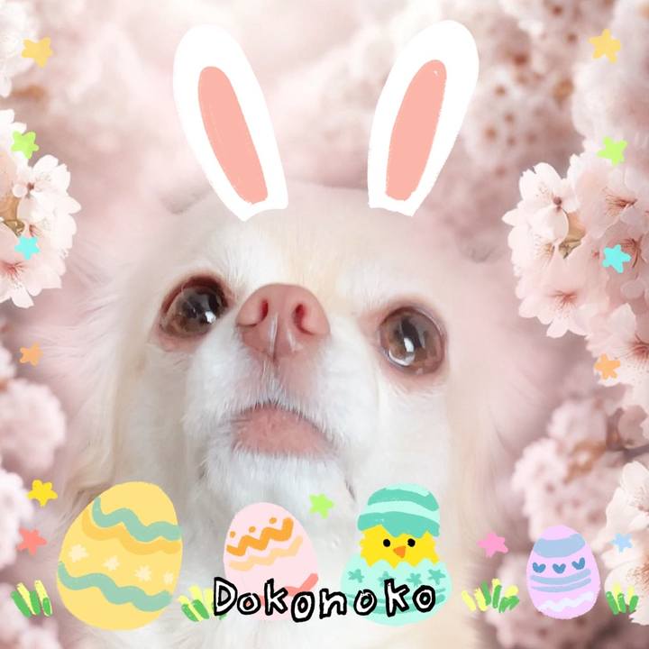 8661a948 6465 4cd9 9cfe 659339e40010 1712239745009