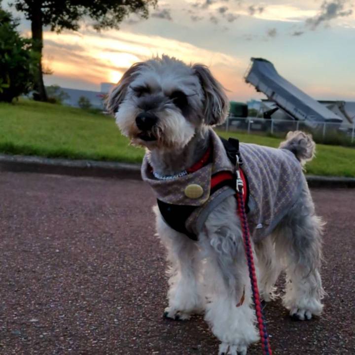 8661da89 174f 4062 b52f 7c6c3f91b2b2 1761842799781