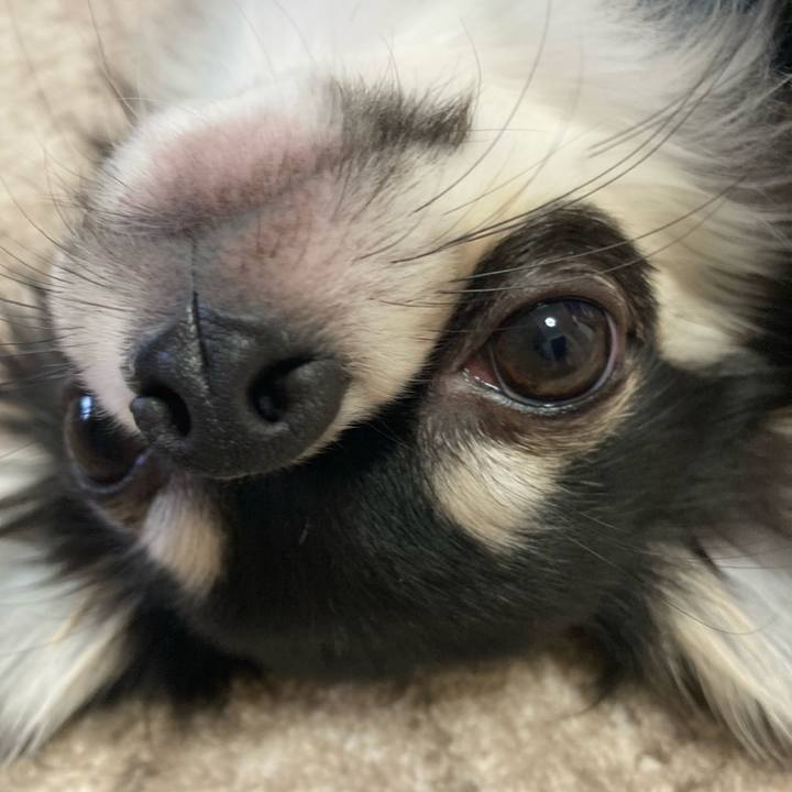 866207f3 9b73 4beb 84e0 7296499e1c81 1607126259128