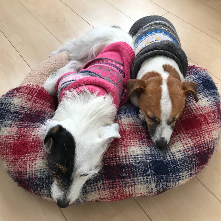 8662b6ca 919d 41af 8484 ab6fdabe8b87 1518753375454