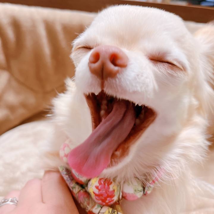 8662fc60 6ae3 43fe b389 b1ecb1f0f98e 1673744649981