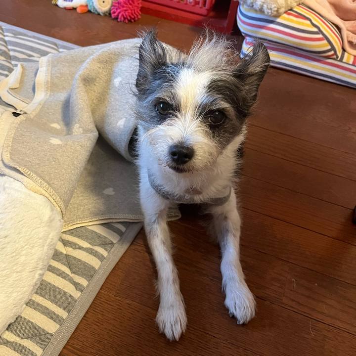 86631bbf 0030 4724 a343 fed558e838c4 1762470515053