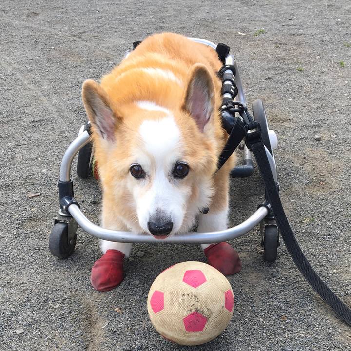 86633e33 9d61 44a6 85e1 268cc7ab4df7 1583284912143