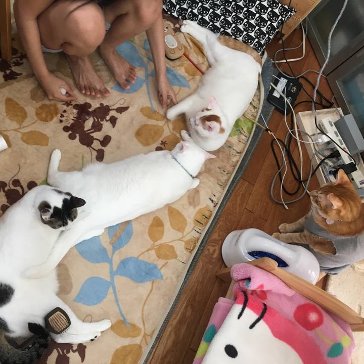 86634c5b 9d1e 4b1a a2e2 6381caacfa94 1523761619588