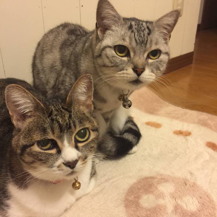 866353e5 c5b1 4b64 87cb 4251e36f261a 1555493660818