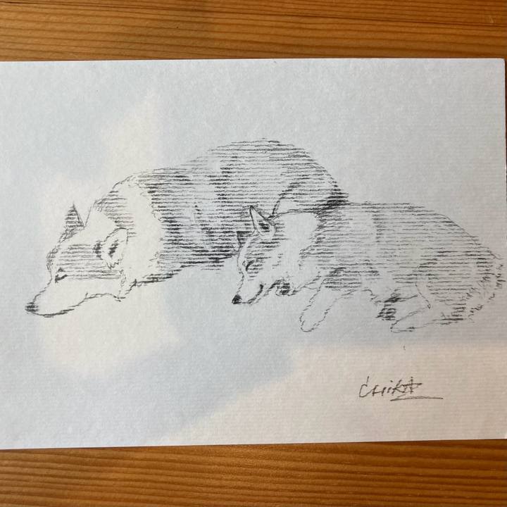 86636e51 4a2f 403a 8fea d05651f88c21 1747704793885