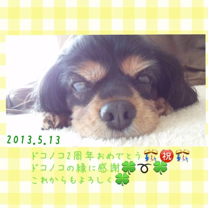 8663775a d346 4ad3 8020 fb00e929d03c 1528034135069