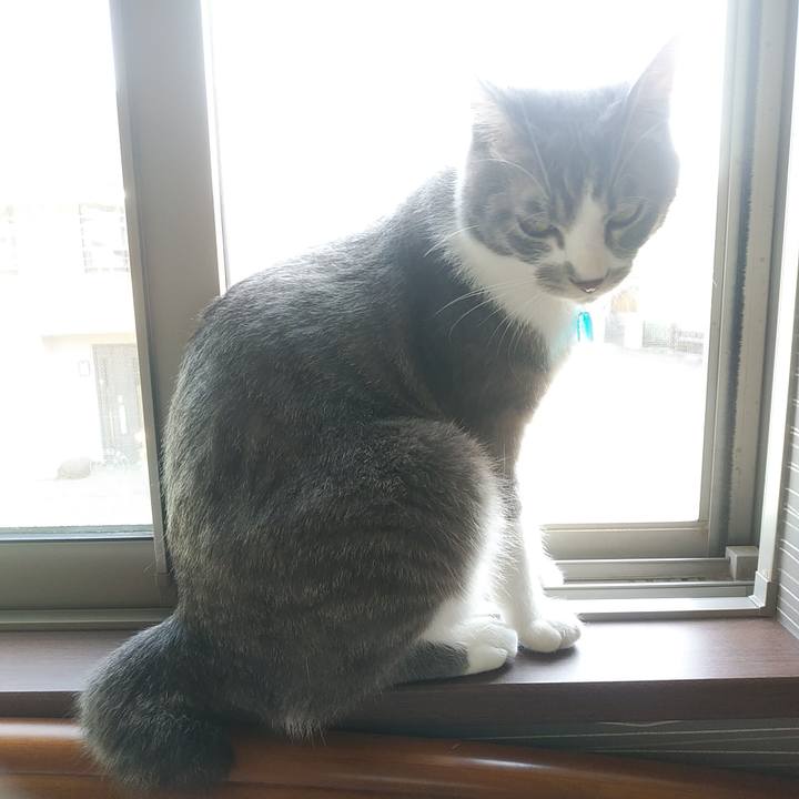 86639f5a ced9 4b2b 86a9 ade9a9972e2d 1590792226882