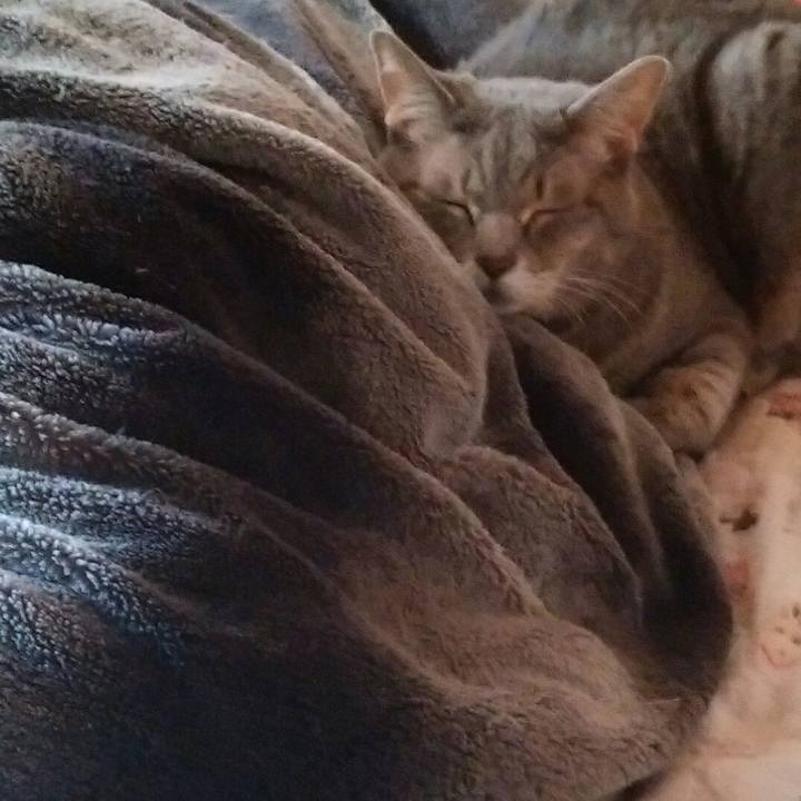 8663a368 c268 4461 b649 85eddf2804ee 1572646074511