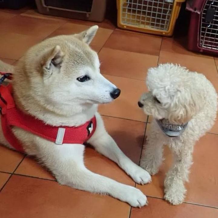 8663c2bf b107 45e9 be13 643564352fd9 1738183828749